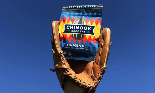 A Pitch-Perfect Parent: How to Win When Baseball Season is in Full Swing