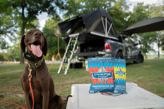 7 Items That Will Change the Way You Camp