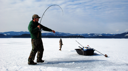 Why are Sunflower Seeds a Popular Ice Fishing Snack?