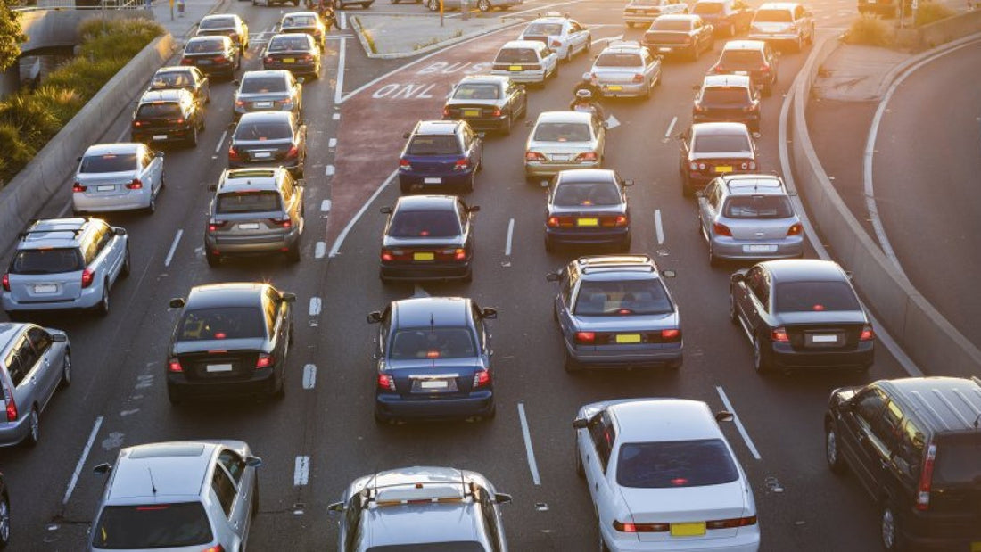 Sunflower seeds can help you relieve the stress of your work commute