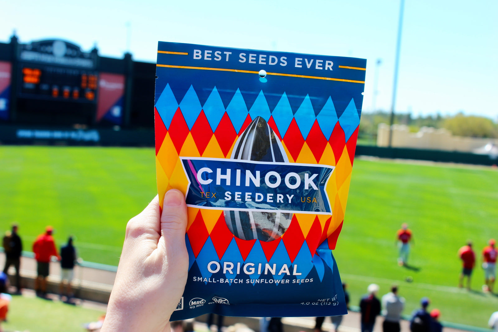 Sunflower Seeds and Baseball The Original Love Story Chinook Seedery