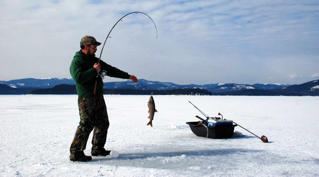 Why are Sunflower Seeds a Popular Ice Fishing Snack? – Chinook Seedery