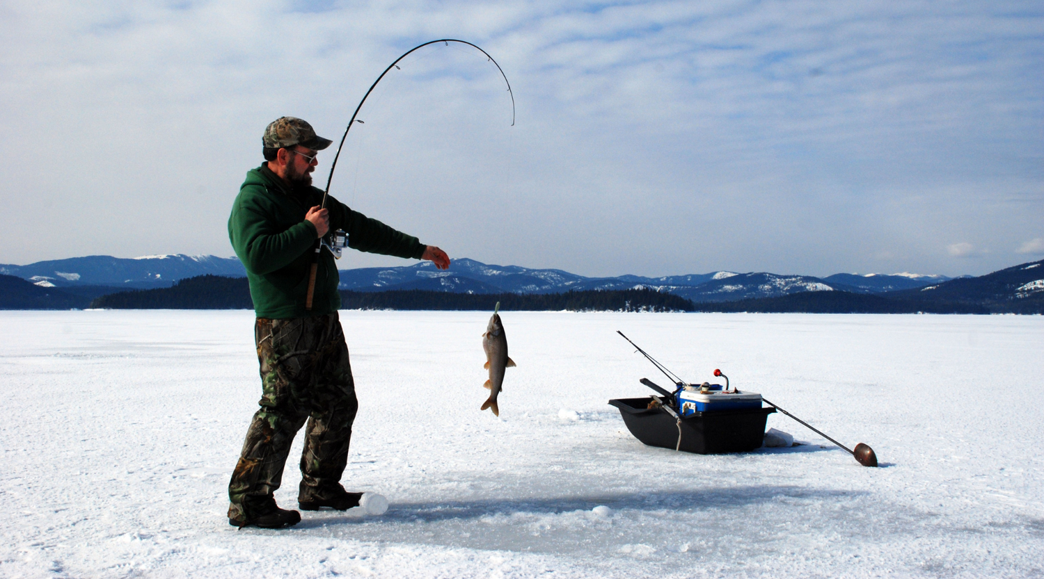 Why are Sunflower Seeds a Popular Ice Fishing Snack? Chinook Seedery