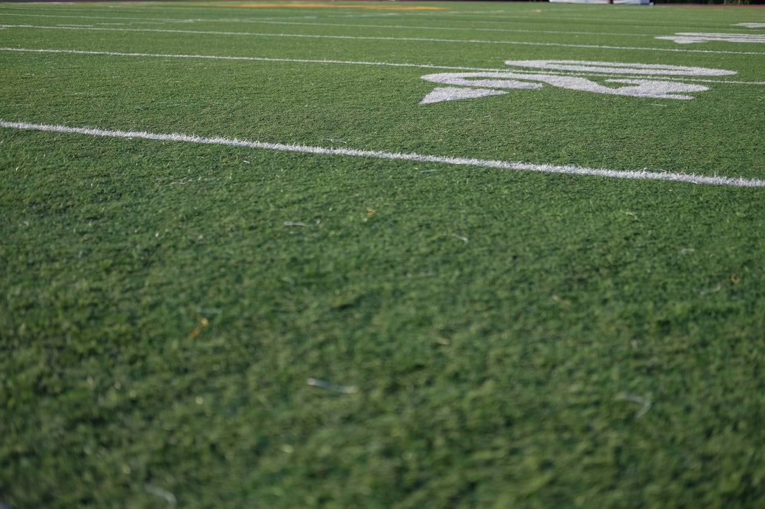 4 Reasons To Add Sunflower Seeds To Your List Of Tailgate Staples