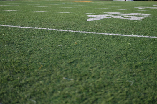 4 Reasons To Add Sunflower Seeds To Your List Of Tailgate Staples